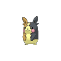 Morpeko
